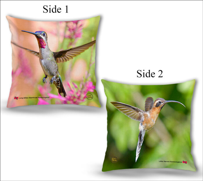 Cushion Covers 18" ( Hummingbirds ) Long-billed Starthroat & Little Hermit Hummingbird