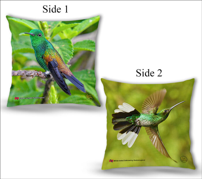 Cushion Covers 18" ( Hummingbirds ) White-tailed Sabrewing & Copper-rumped Hummingbird