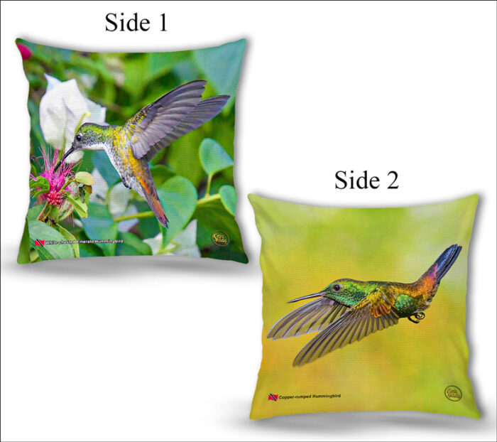 Cushion Covers 18" ( Hummingbirds ) White Chested Emerald & Copper-rumped