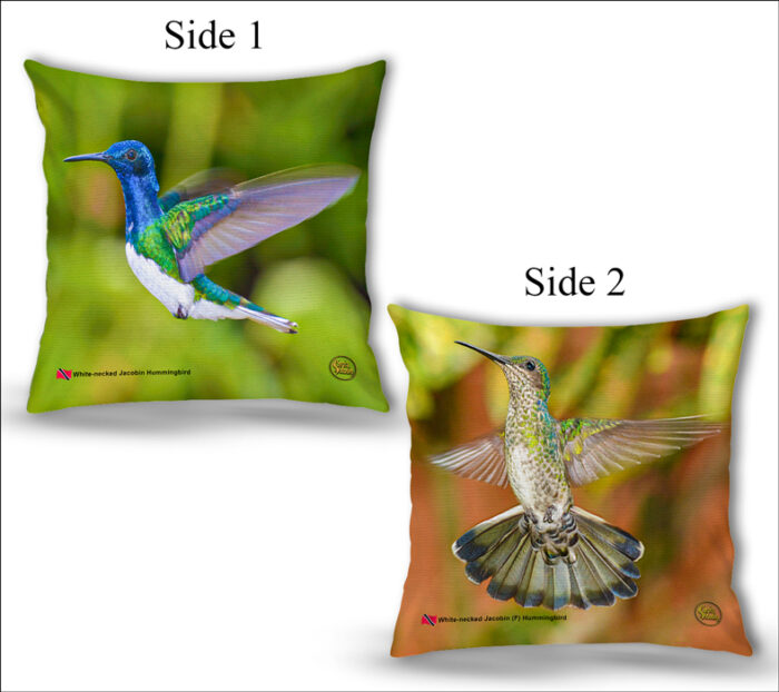 Cushion Covers 18" ( Hummingbirds ) White Necked Jacobin Male & Female