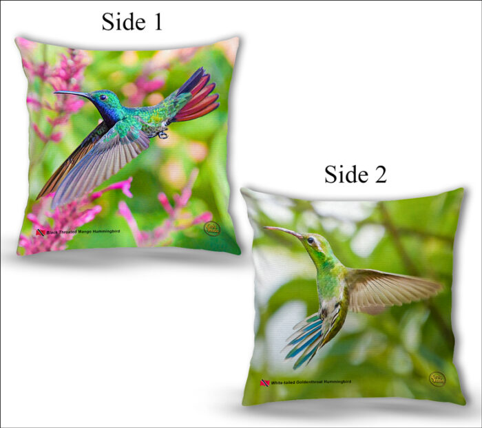 Cushion Covers 18" ( Hummingbirds ) Black Throated Mango & White-tailed Goldenthroat Hummingbird